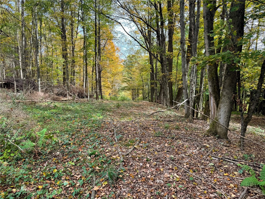 7465 Chappel Road Hamilton, NY 13346 - Photo 19 of 20