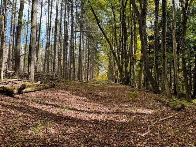 $110,000 | 7465 Chappel Road, Hamilton, NY 13346