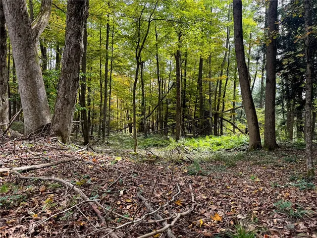 $110,000 | 7465 Chappel Road, Hamilton, NY 13346