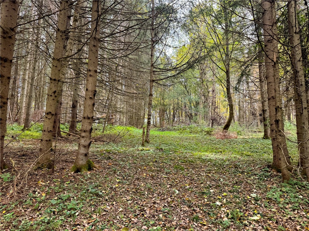 7465 Chappel Road Hamilton, NY 13346 - Photo 6 of 20