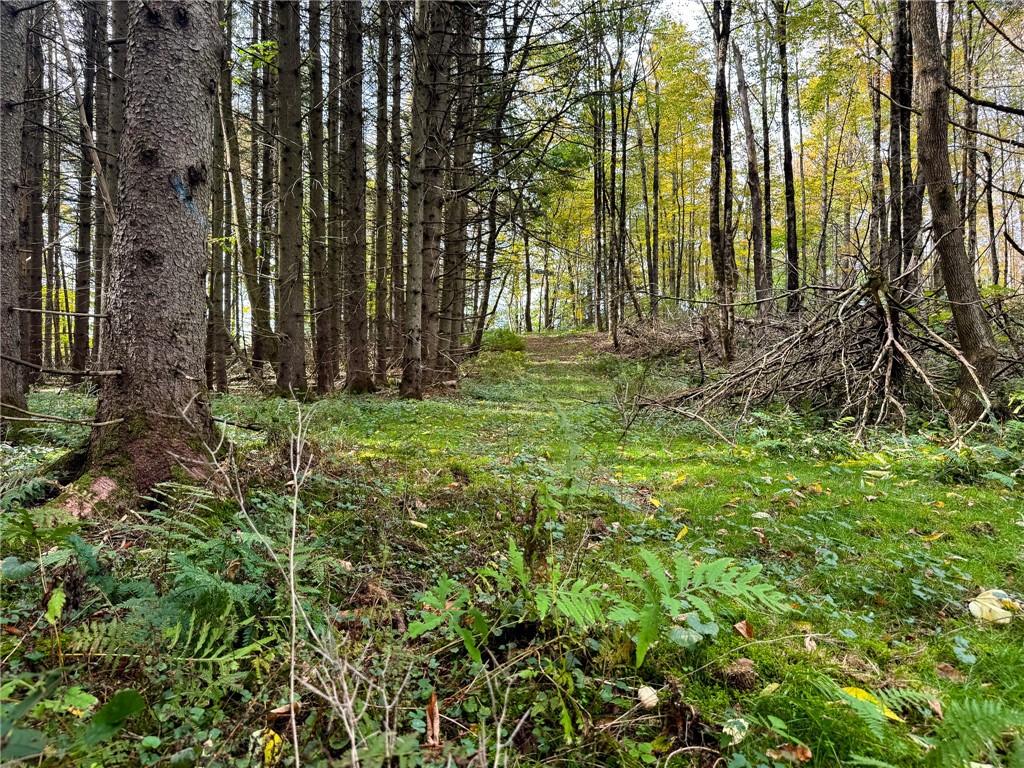 7465 Chappel Road Hamilton, NY 13346 - Photo 10 of 20