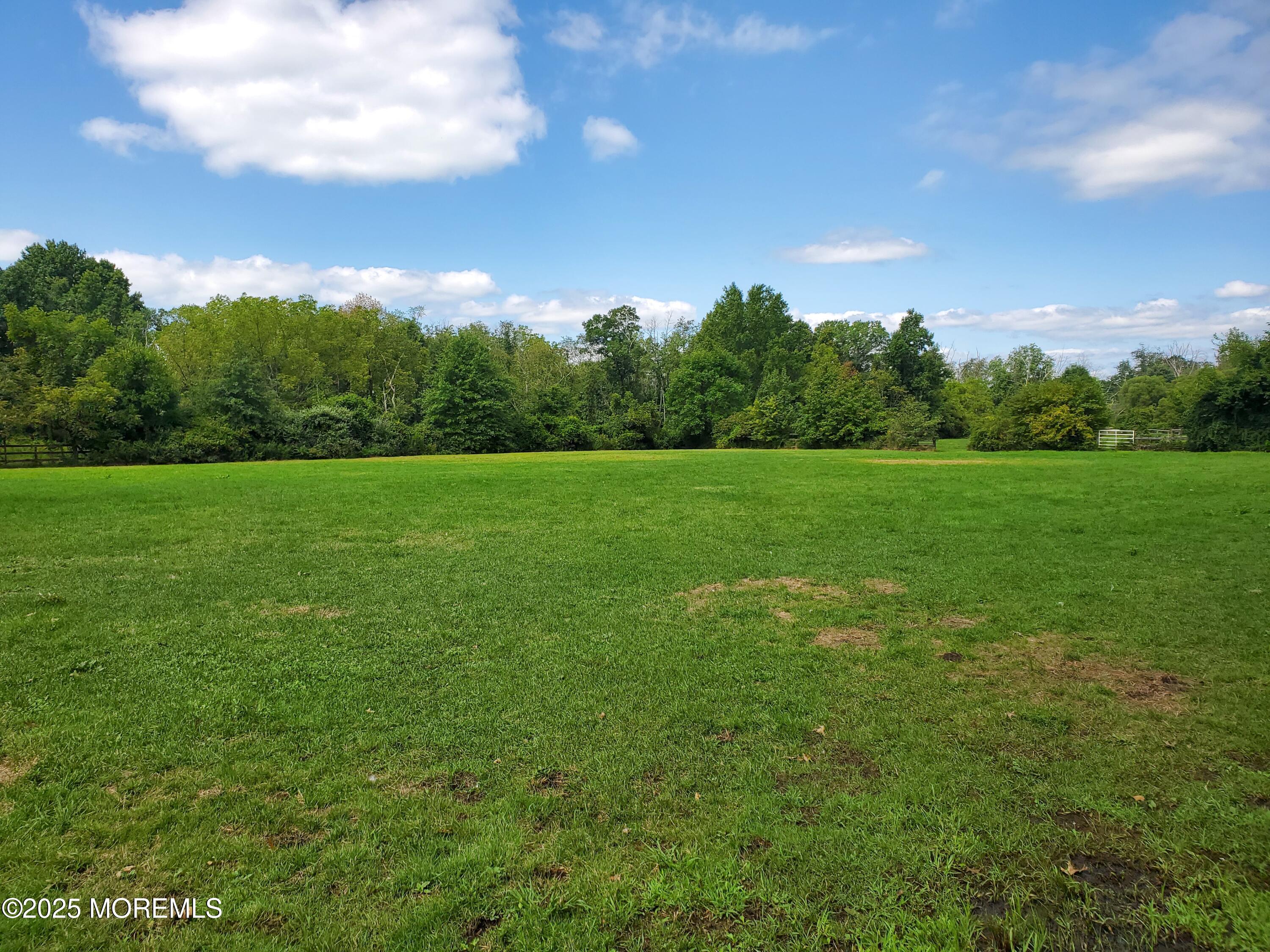 2328 Monmouth Road Jobstown, NJ 08041 - Photo 29 of 54 a view of field with trees in the background