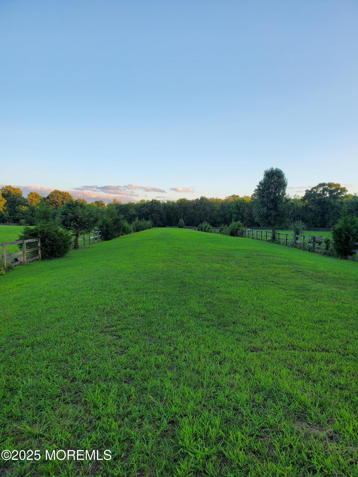 2328 Monmouth Road Jobstown, NJ 08041 - Photo 35 of 54 a view of a big yard with a large tree