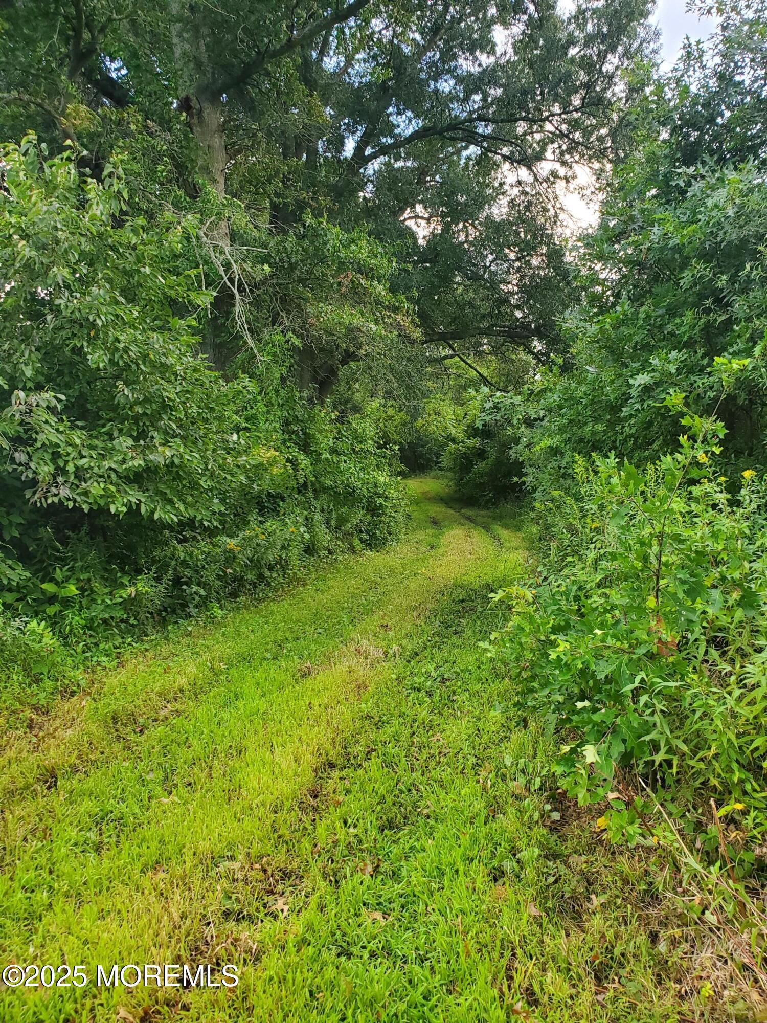 2328 Monmouth Road Jobstown, NJ 08041 - Photo 49 of 54 a view of a lush green space