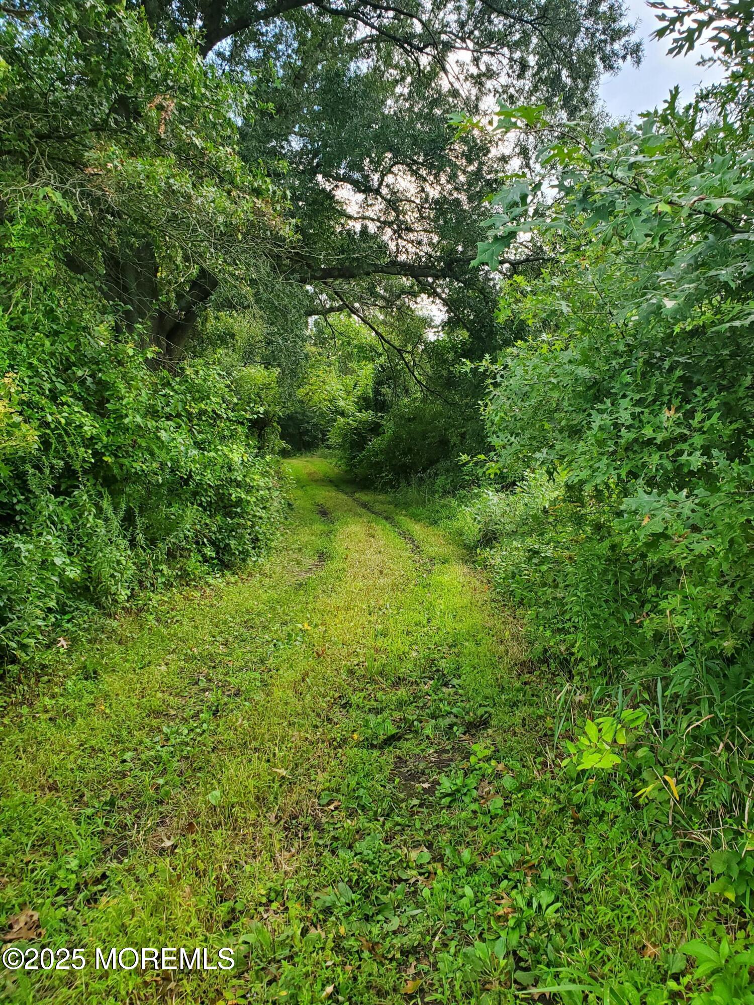 2328 Monmouth Road Jobstown, NJ 08041 - Photo 50 of 54 a view of a lush green space