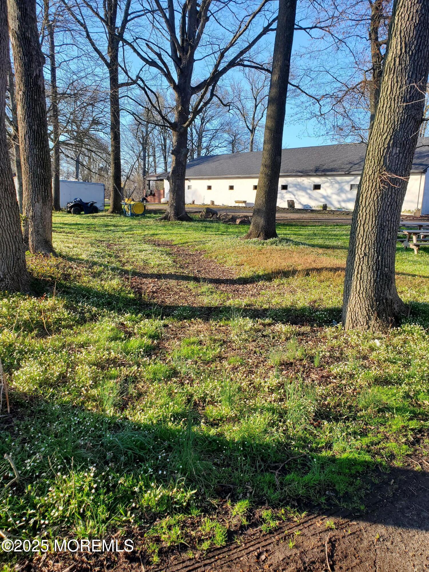 2328 Monmouth Road Jobstown, NJ 08041 - Photo 8 of 54 a view of a yard with an tree