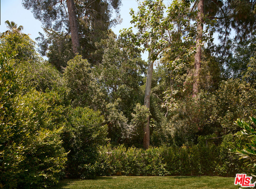 790 Burleigh Drive Pasadena, CA 91105 - Photo 43 of 47 a view of a yard