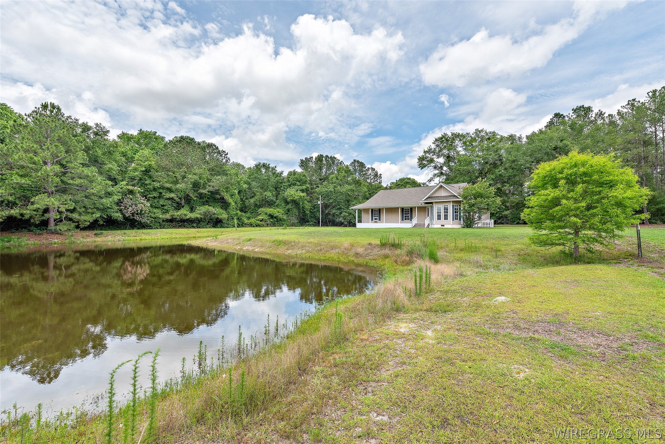 13308 Highway 52 Samson, AL 36477 - Photo 5 of 34 Gallery Image 5