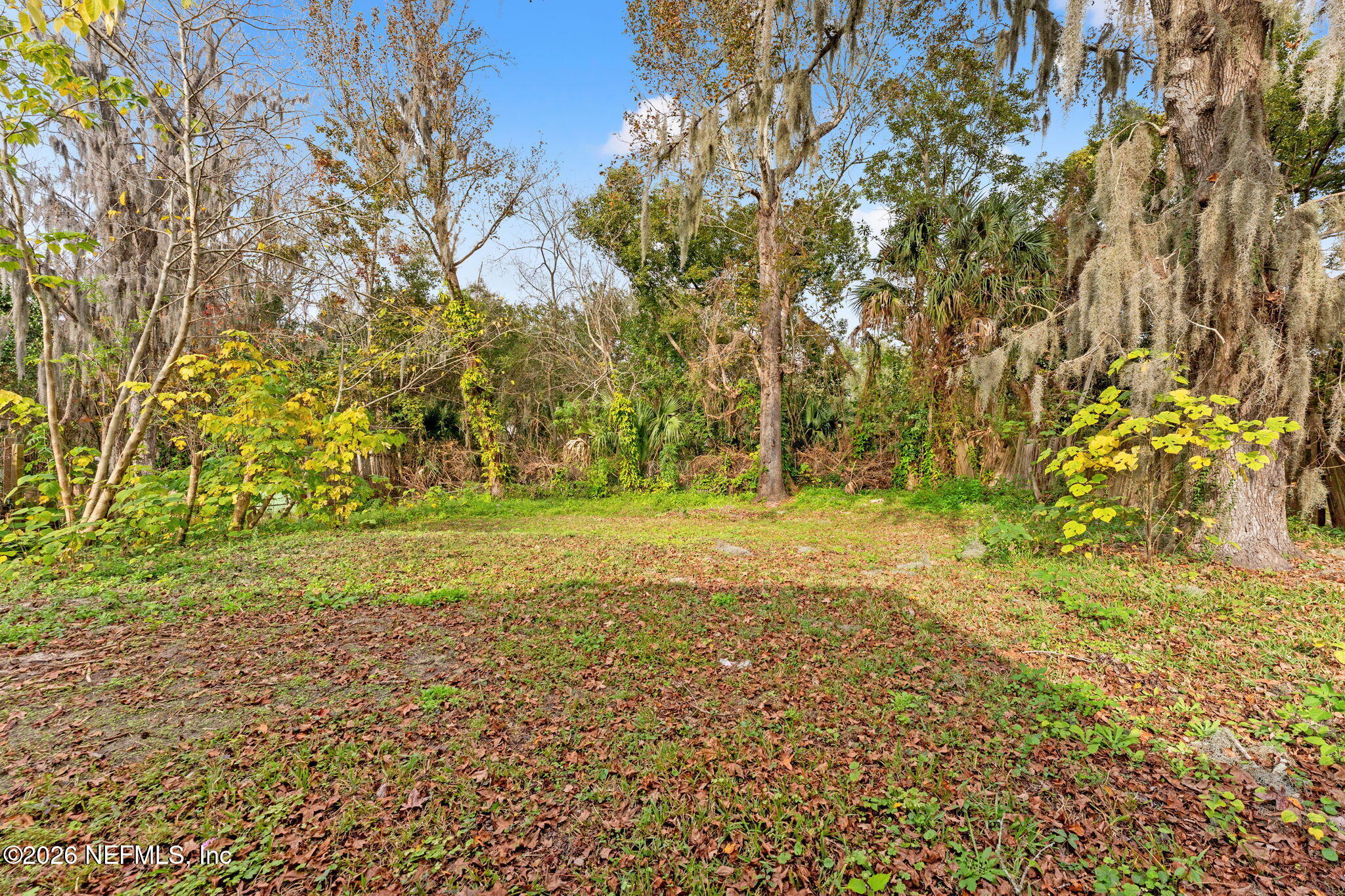5331 Sharon Terrace Jacksonville, FL 32207 - Photo 14 of 16 a view of yard with green space