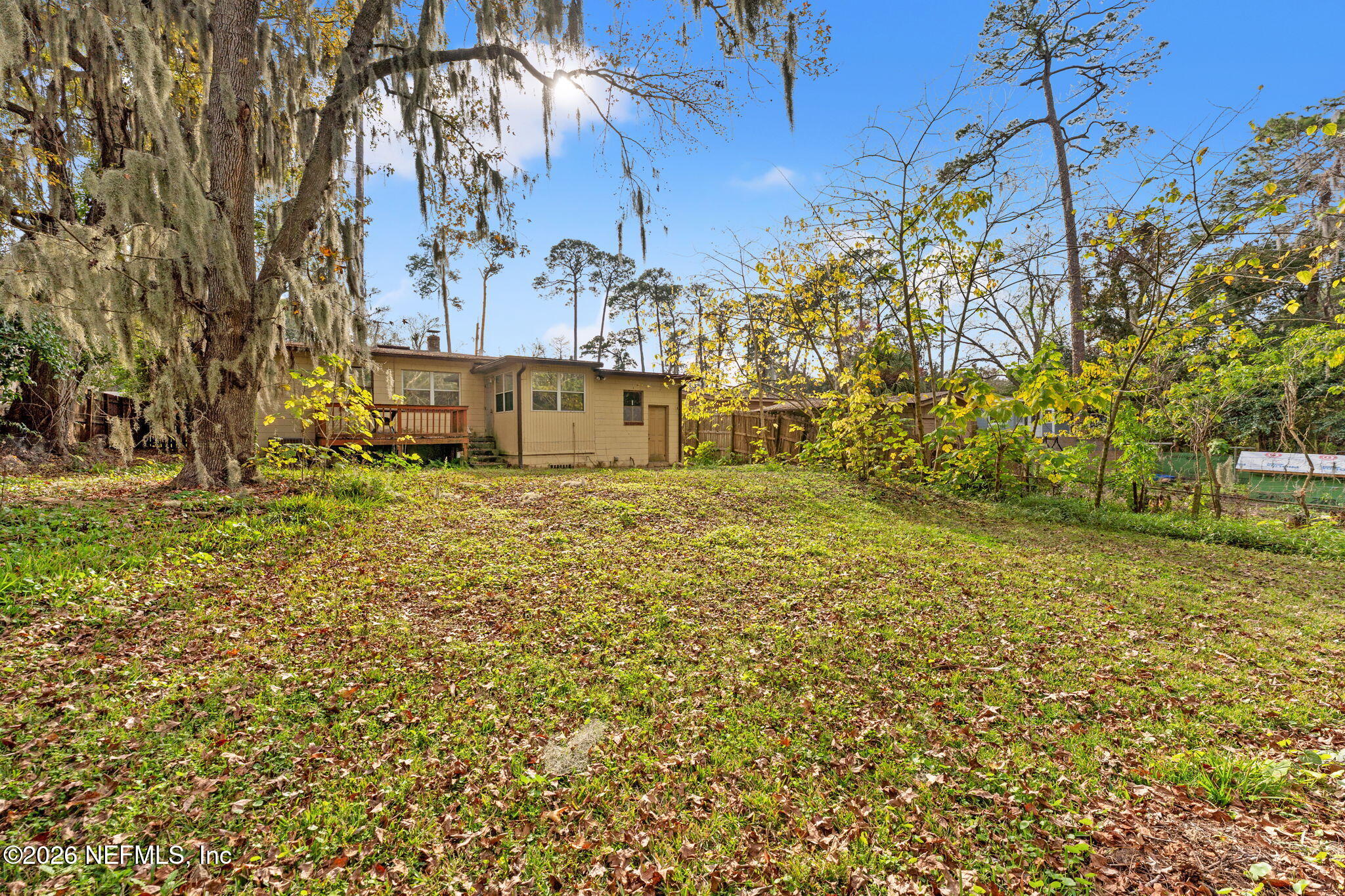 5331 Sharon Terrace Jacksonville, FL 32207 - Photo 15 of 16 a view of a yard with plants and large trees