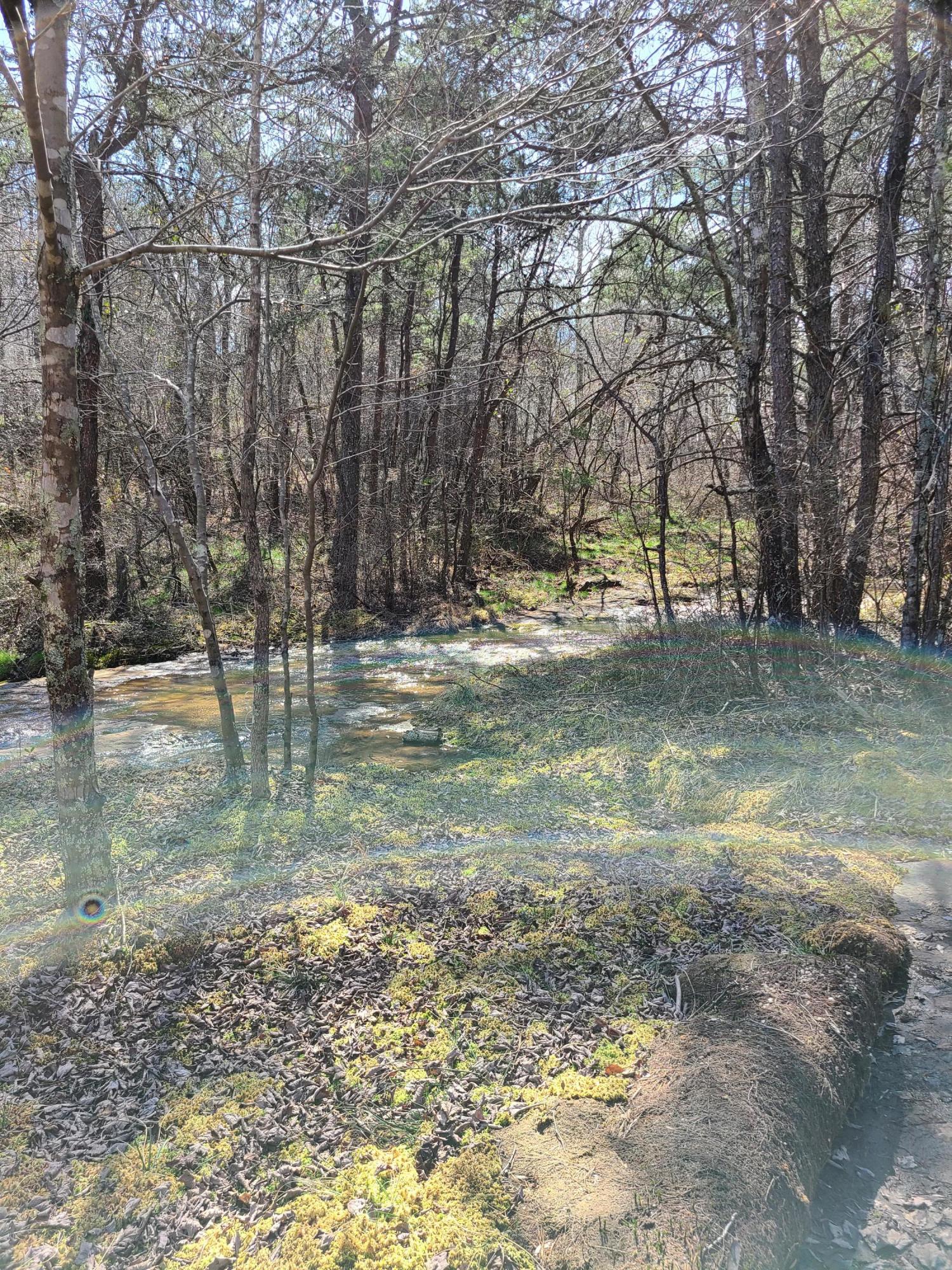 1213 Murdock Road Northeast Fort Payne, AL 35967 - Photo 4 of 5 1213 murdock stream