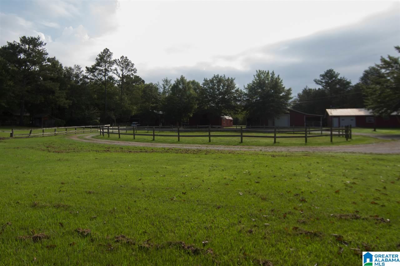 1366 Holland-Finley Road Jacksonville, AL 36265 - Photo 17 of 33