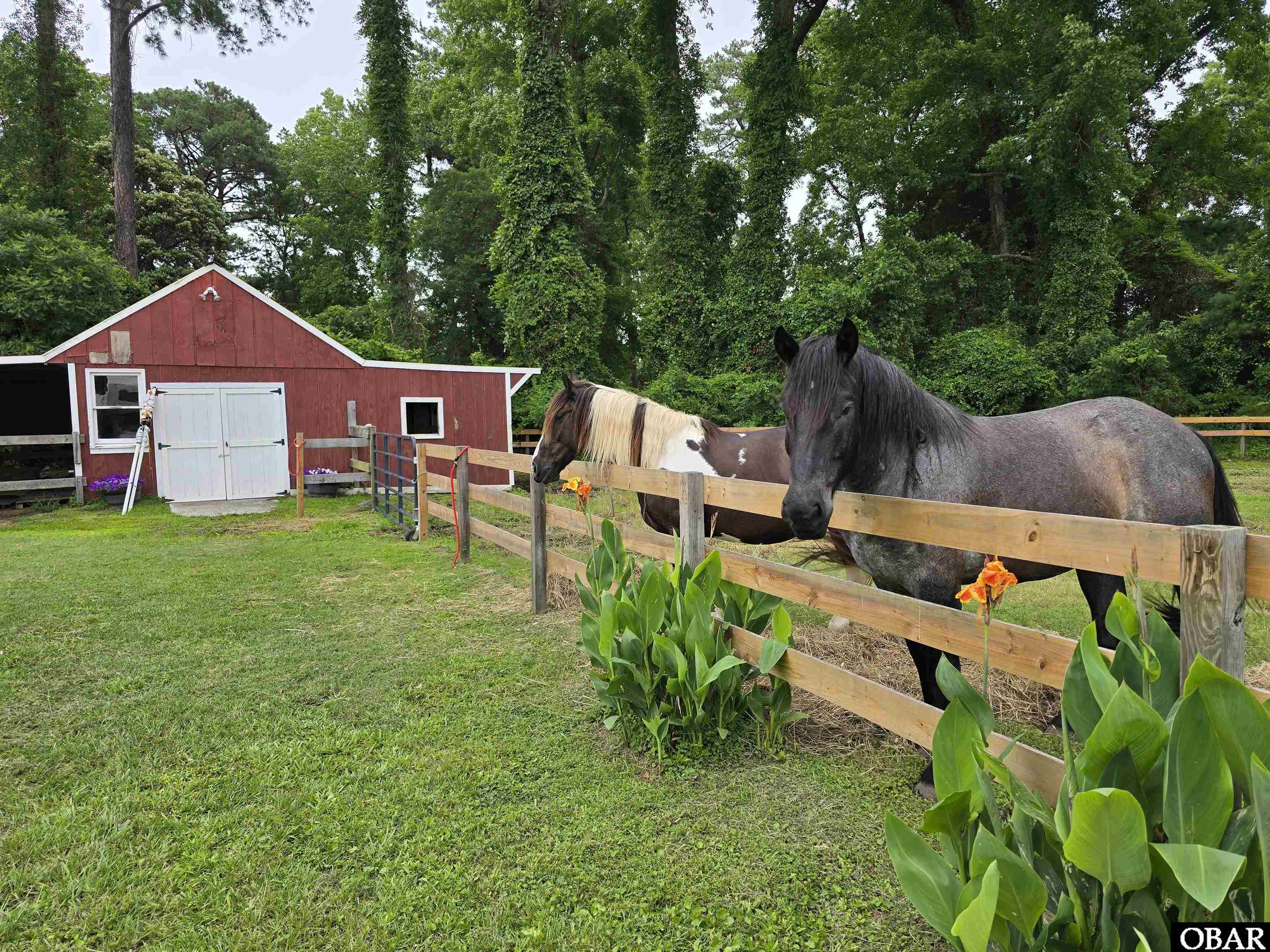 1146 East R Daniels Road Wanchese, NC 27981 - Photo 28 of 35