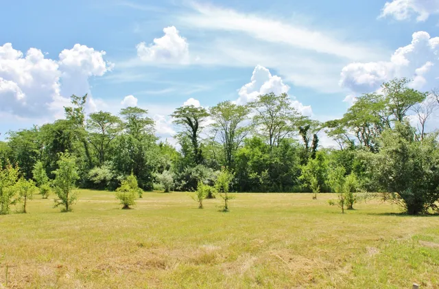 a view of swimming pool