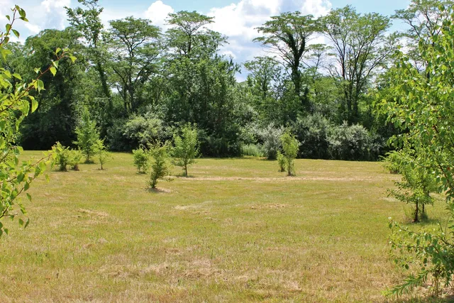 a view of an outdoor space and swimming pool