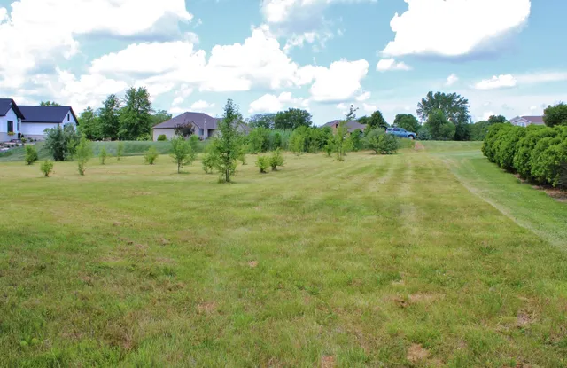 a view of a field with of trees