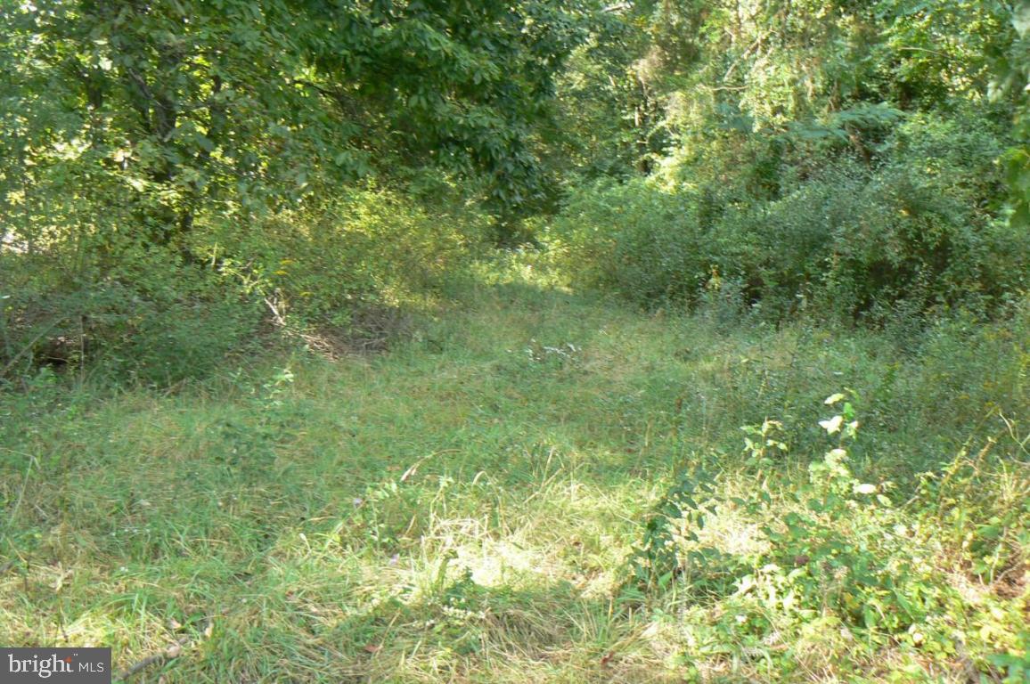 0 North Cocalico Road Denver, PA 17517 - Photo 3 of 5