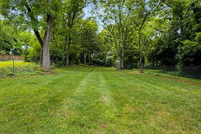 a view of a tree in a yard