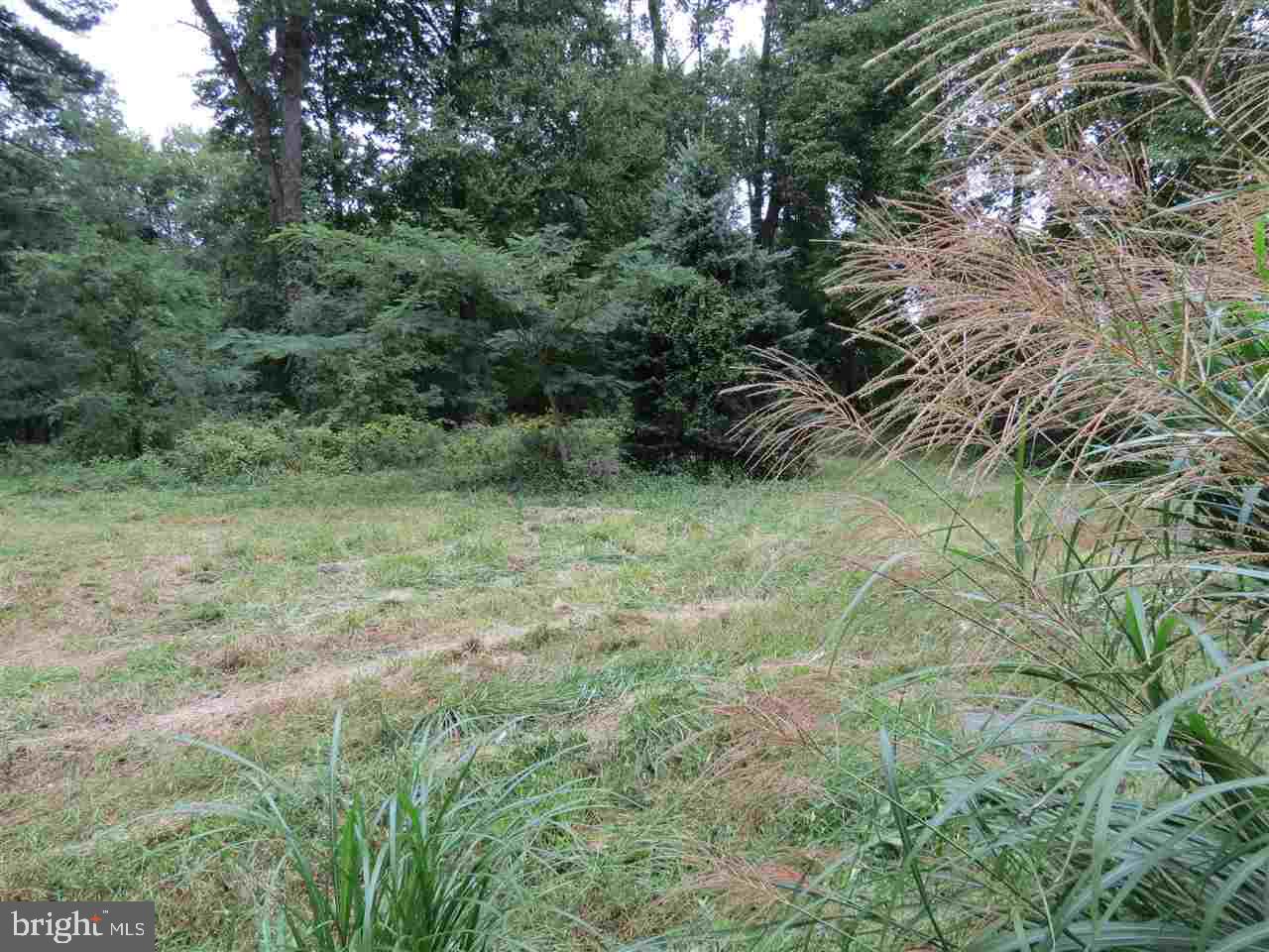 4108 Roundtop Road Elizabethtown, PA 17022 - Photo 3 of 5 Gallery Image 3