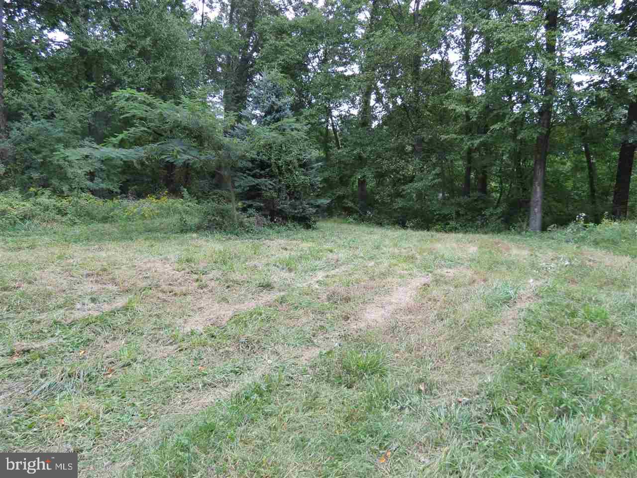 4108 Roundtop Road Elizabethtown, PA 17022 - Photo 4 of 5 Gallery Image 4