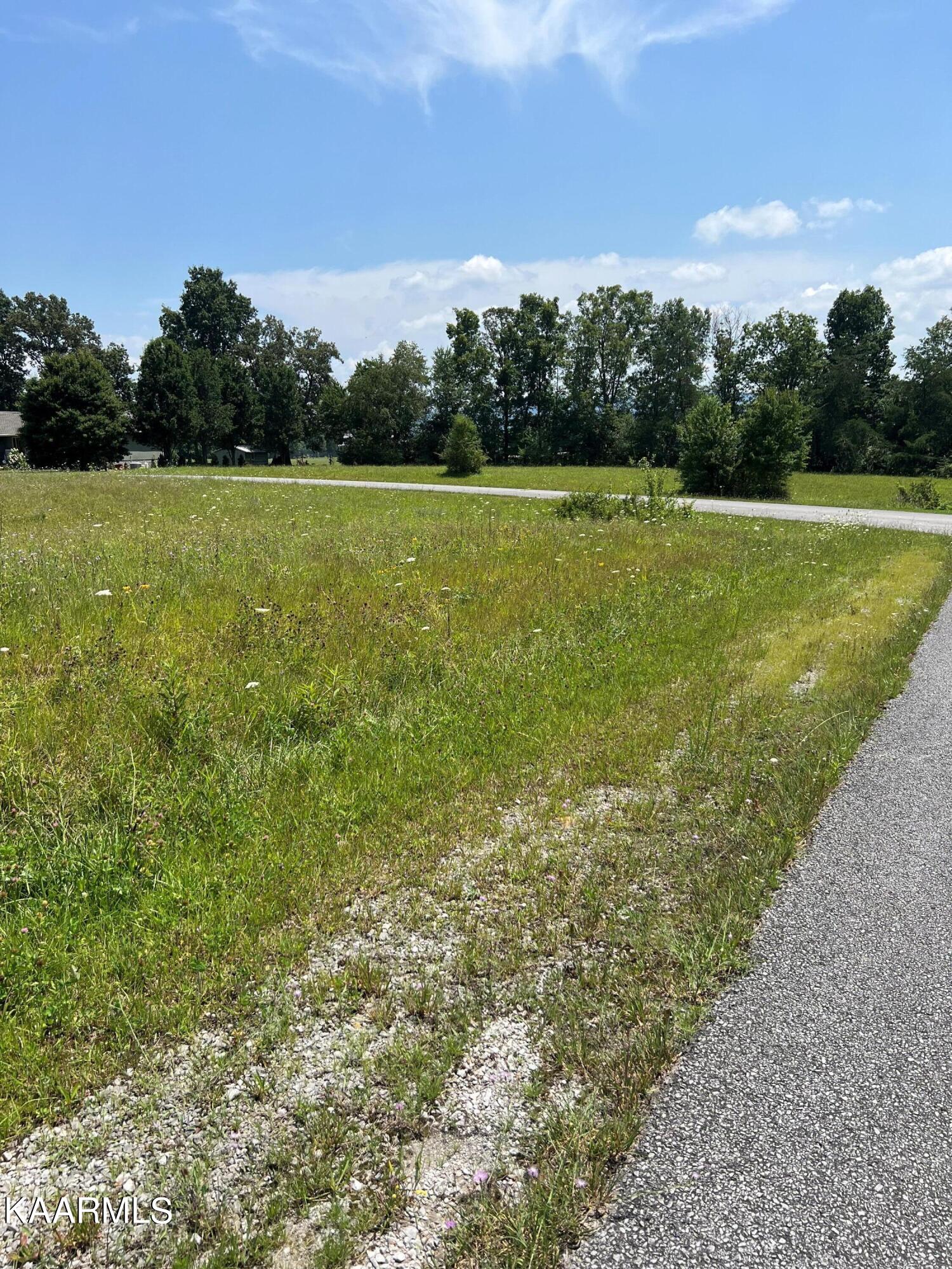 Hinch Mtn View Road Crossville, TN 38555 - Photo 2 of 4 Front to R side circle