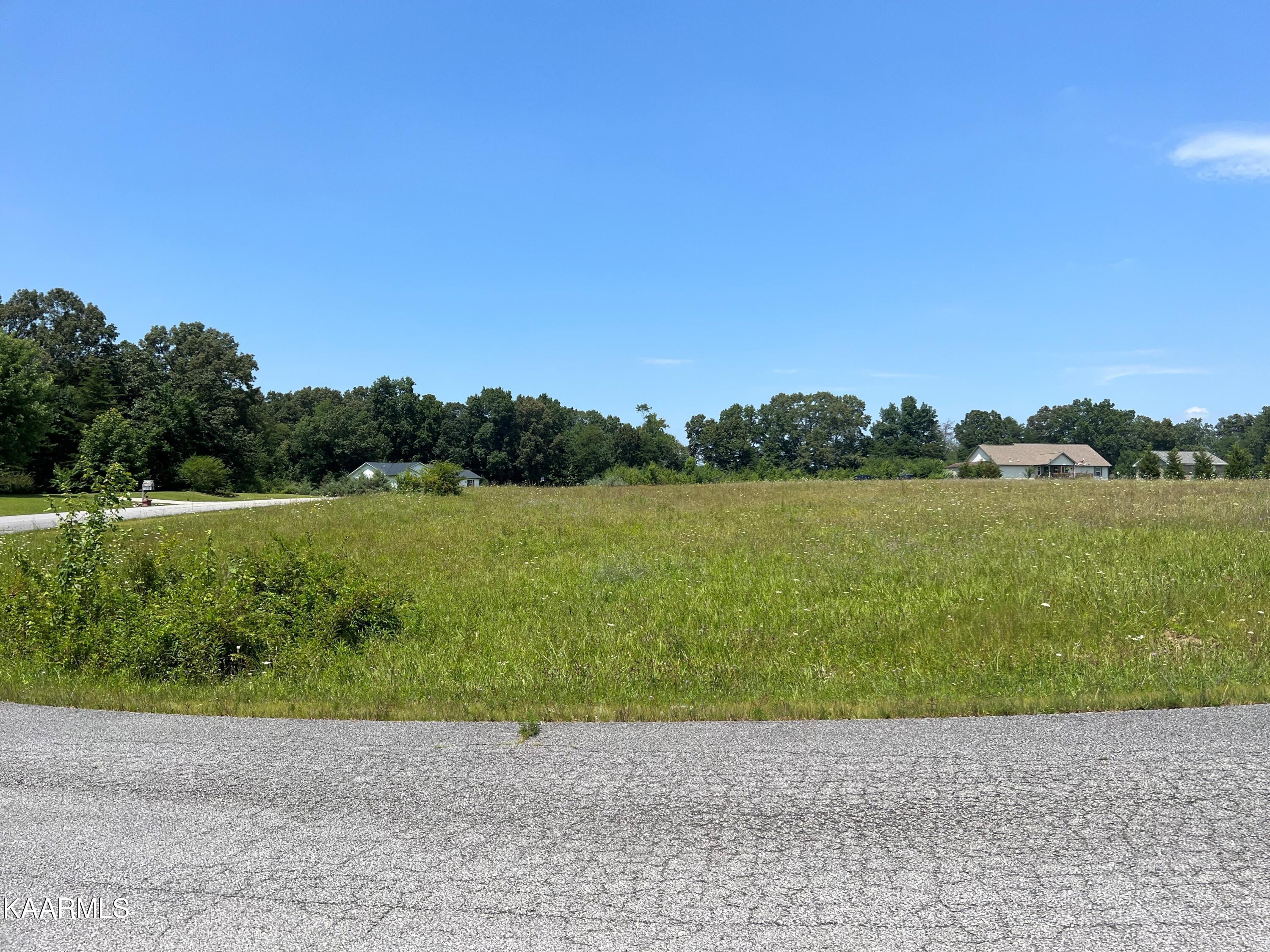 Hinch Mtn View Road Crossville, TN 38555 - Photo 4 of 4 Far Right corner view back to entry