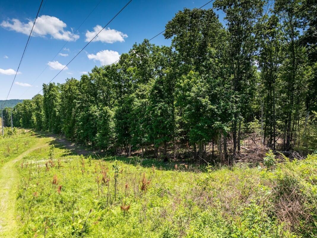 7 Dunwoody Road LaFayette, GA 30728 - Photo 4 of 6 03