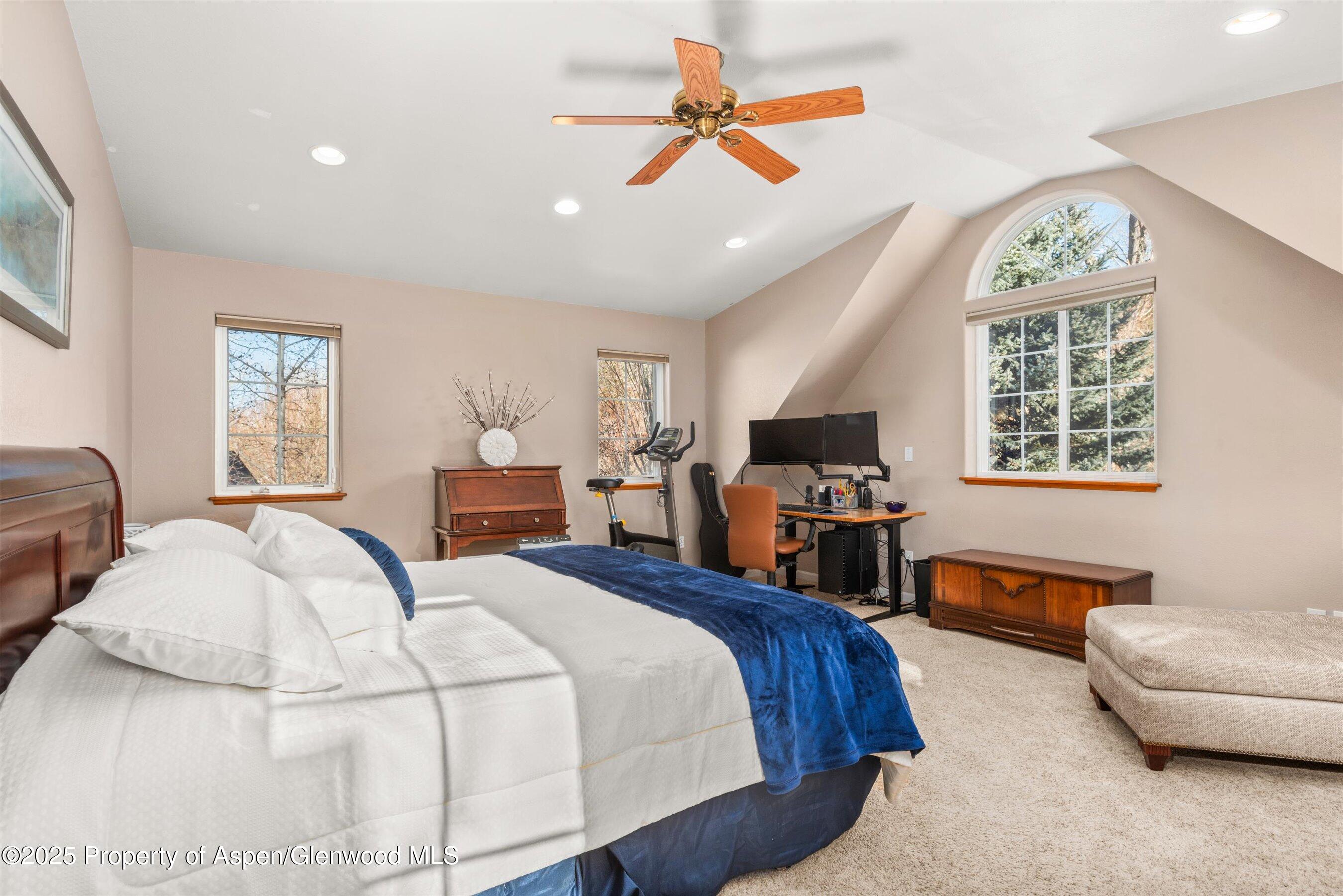 203 Deer Run Carbondale, CO 81623 - Photo 30 of 50 38-203DeerRun_2503270038