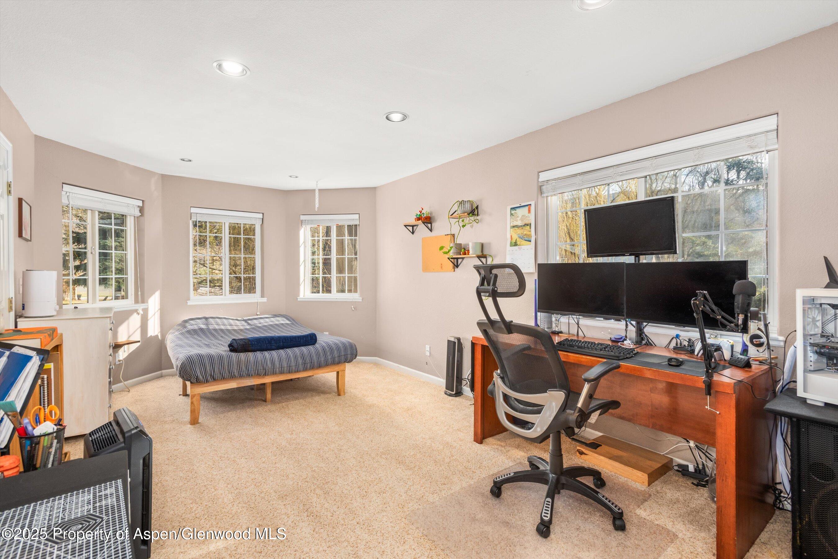 203 Deer Run Carbondale, CO 81623 - Photo 34 of 50 43-203DeerRun_2503270043