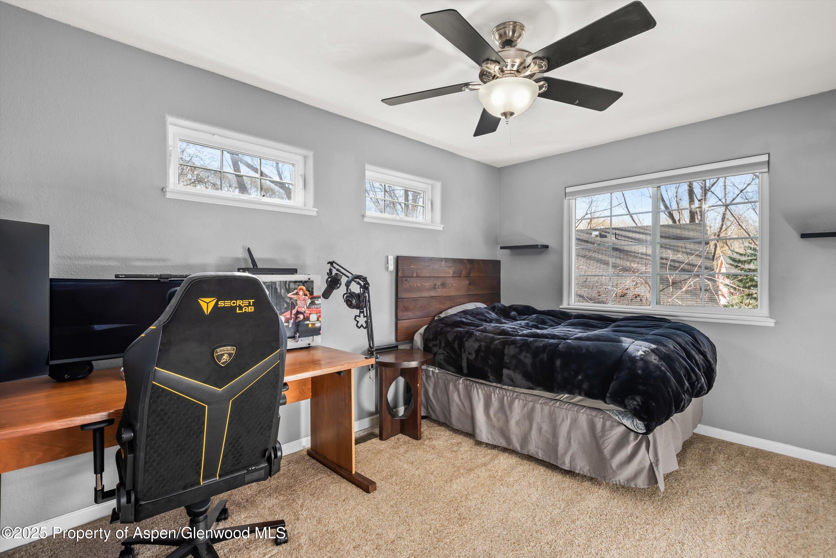 203 Deer Run Carbondale, CO 81623 - Photo 36 of 50 45-203DeerRun_2503270045