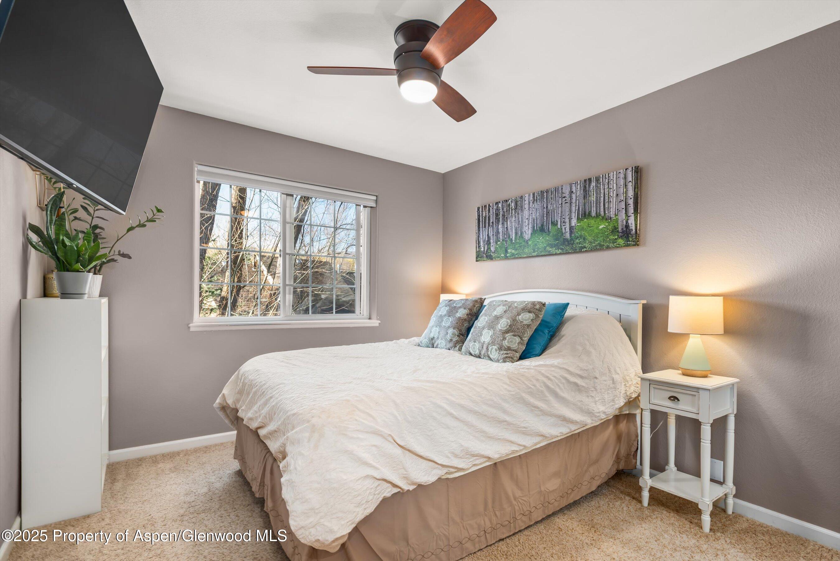 203 Deer Run Carbondale, CO 81623 - Photo 37 of 50 46-203DeerRun_2503270046