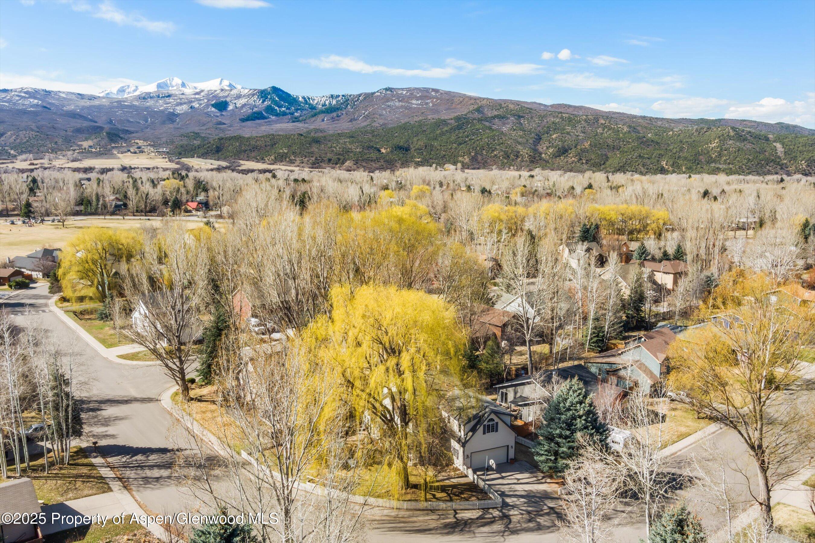 203 Deer Run Carbondale, CO 81623 - Photo 44 of 50 17-203DeerRun_2503270017