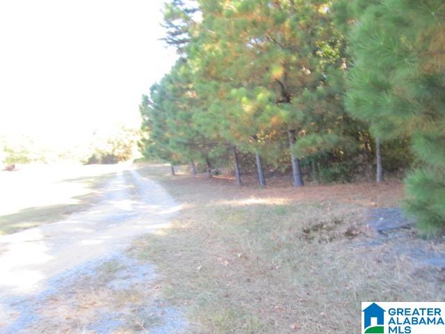 0 Avery Road Oneonta, AL 35121 - Photo 11 of 16