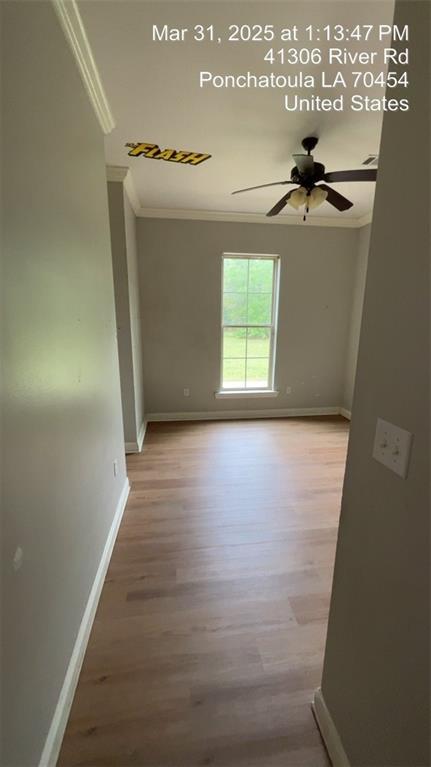 41306 River Road Ponchatoula, LA 70454 - Photo 4 of 14