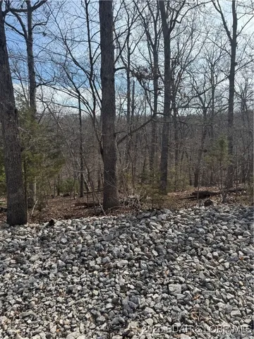 $2,950 | Lot 479 Parker Point, Four Seasons, MO 65049