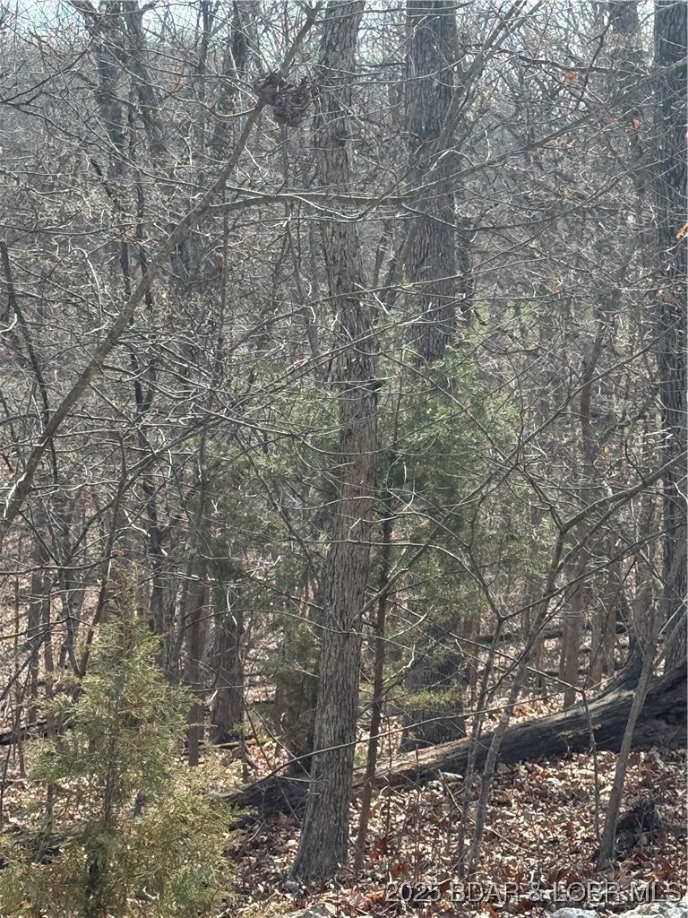 Lot 479 Parker Point Four Seasons, MO 65049 - Photo 2 of 9