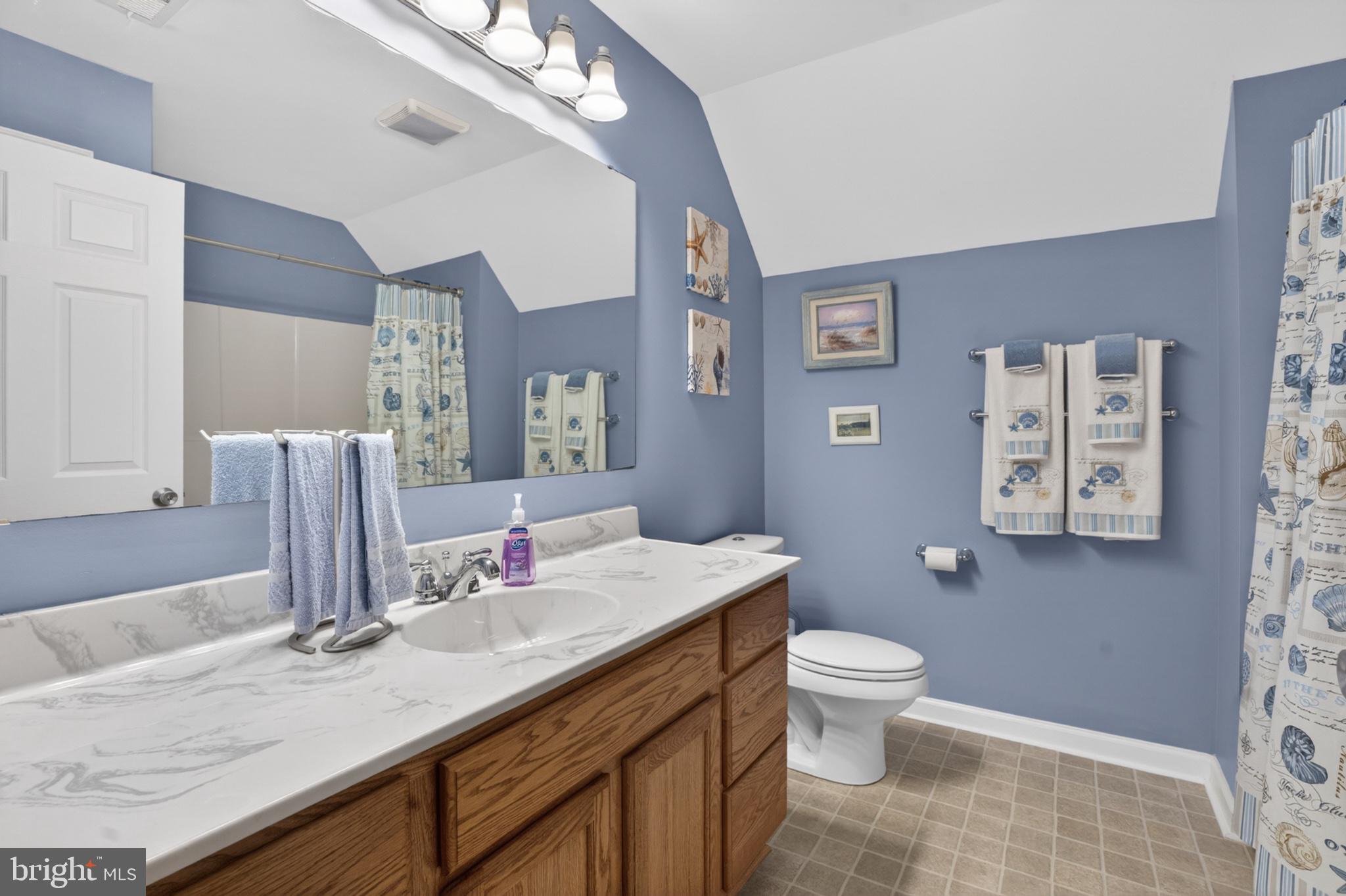 2435 Payne Road Pocomoke City, MD 21851 - Photo 54 of 75 Charming blue-hued bathroom retreat.
