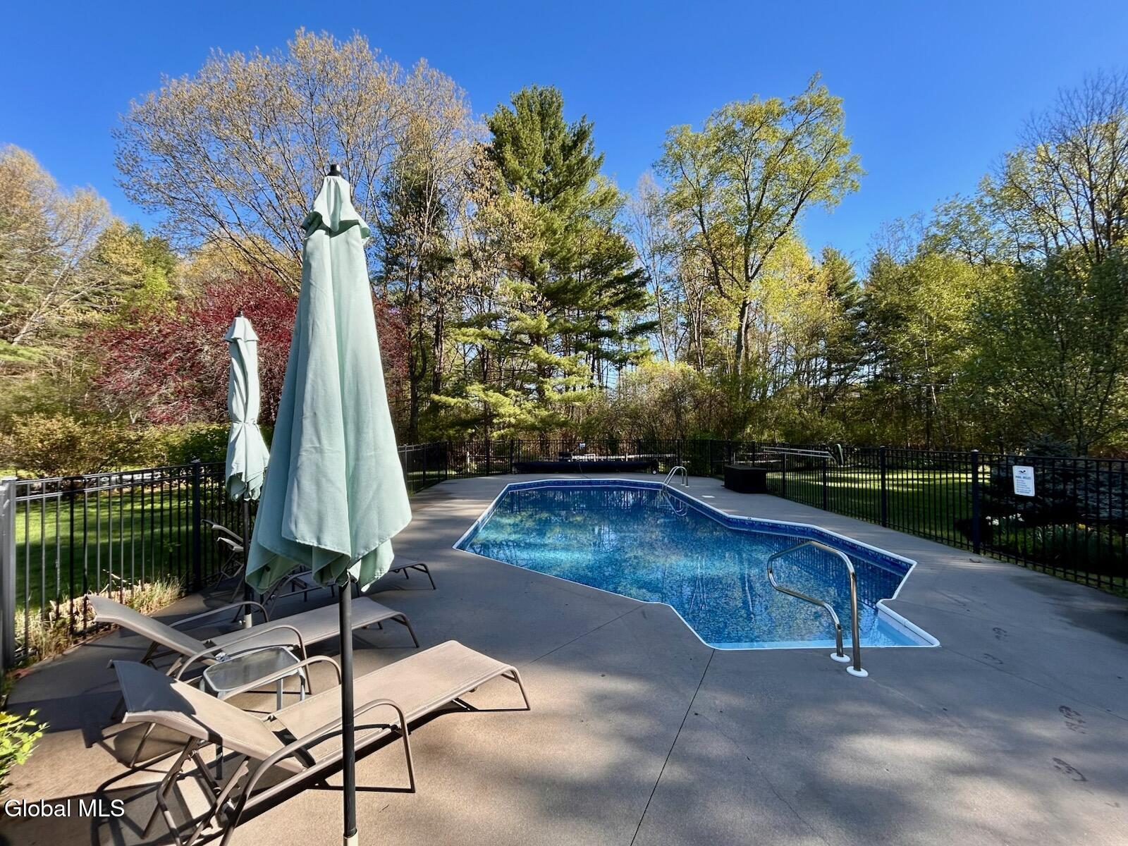 15 Dyer Switch Road Saratoga Springs, NY 12866 - Photo 52 of 70 Pool