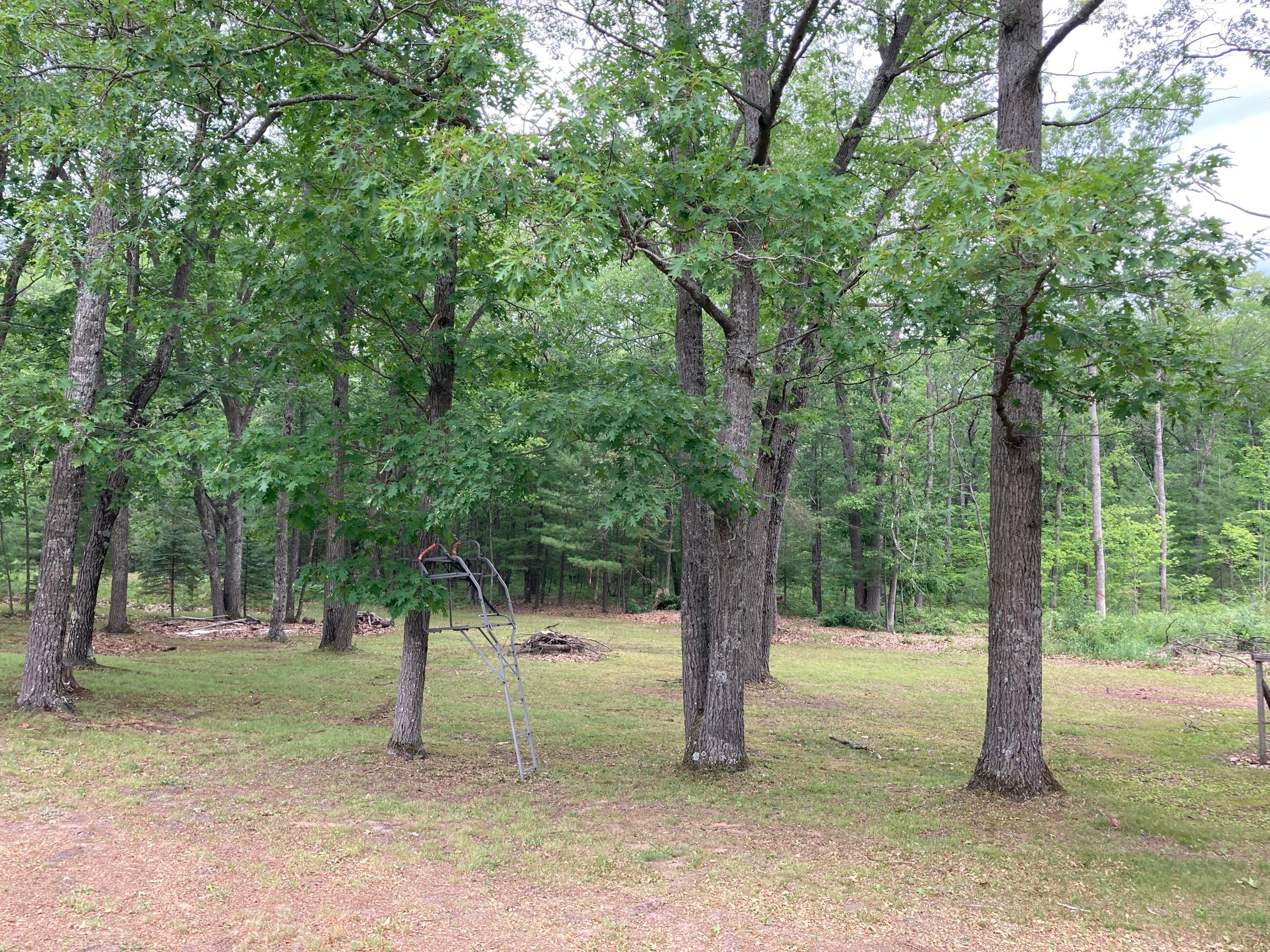3133 Indian Reserve Road Alpena, MI 49707 - Photo 19 of 19 Gallery Image 19