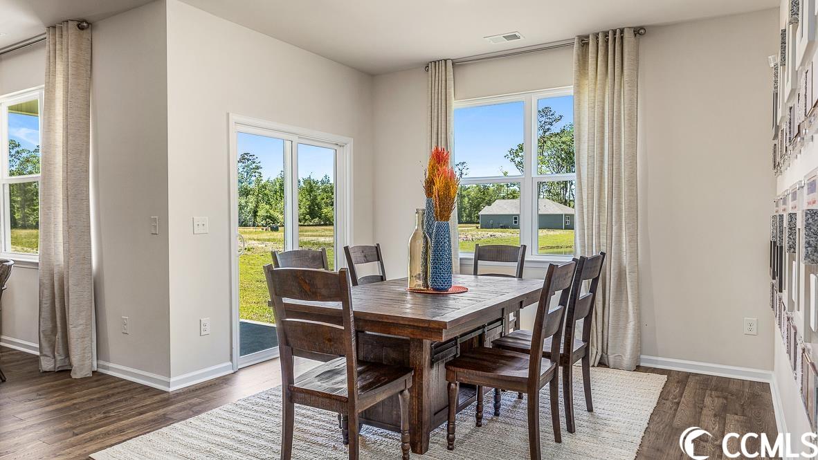 123 Caveson Way Conway, SC 29526 - Photo 8 of 21 Gallery Image 8