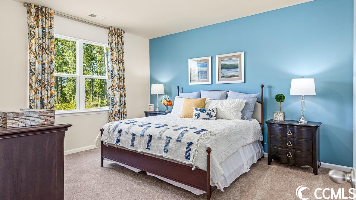 123 Caveson Way Conway, SC 29526 - Photo 9 of 21 Gallery Image 9