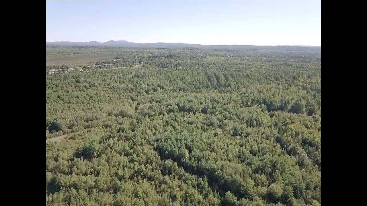 Off Greenfield Road Greenbush, ME 04418 - Photo 14 of 17 screen_f0cbae661b361df5_1568384752130