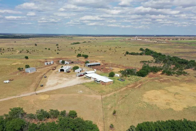 a view of a yard with trees