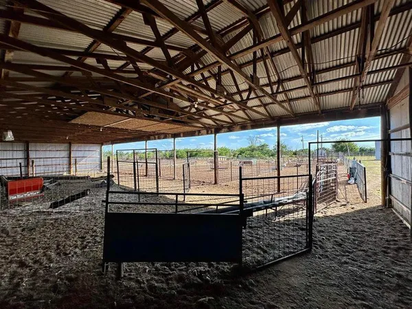 a view of a yard with trees