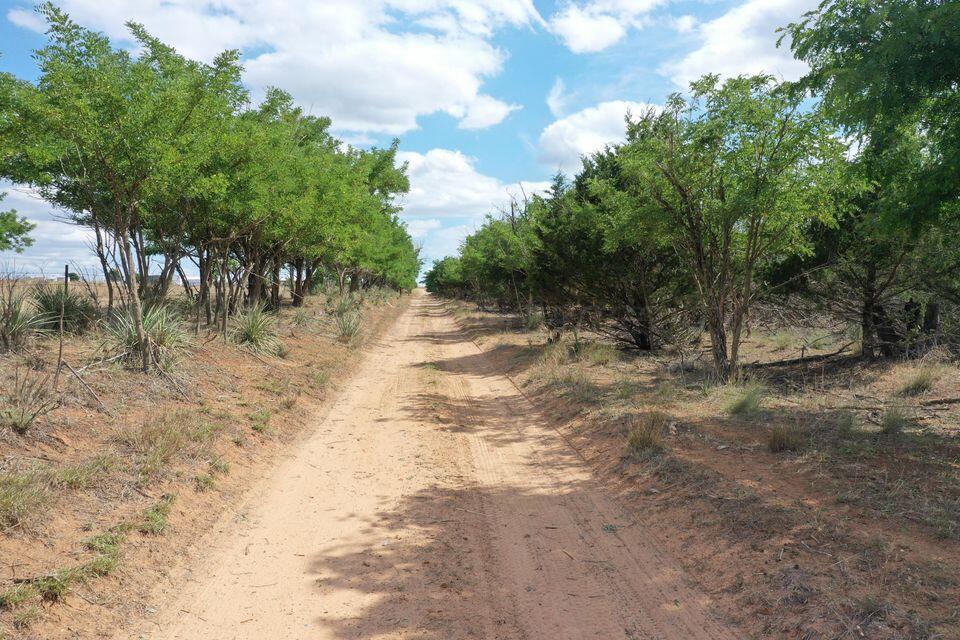 15200 Highway 152 Wheeler, TX 79096 - Photo 4 of 71 a view of a yard with trees