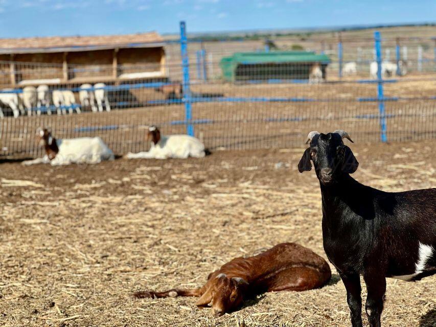 15200 Highway 152 Wheeler, TX 79096 - Photo 43 of 71 a view of entryway with bed