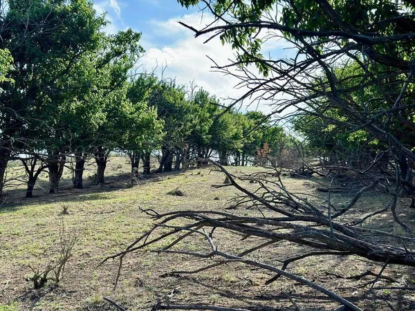 a view of a swimming pool with a lake view