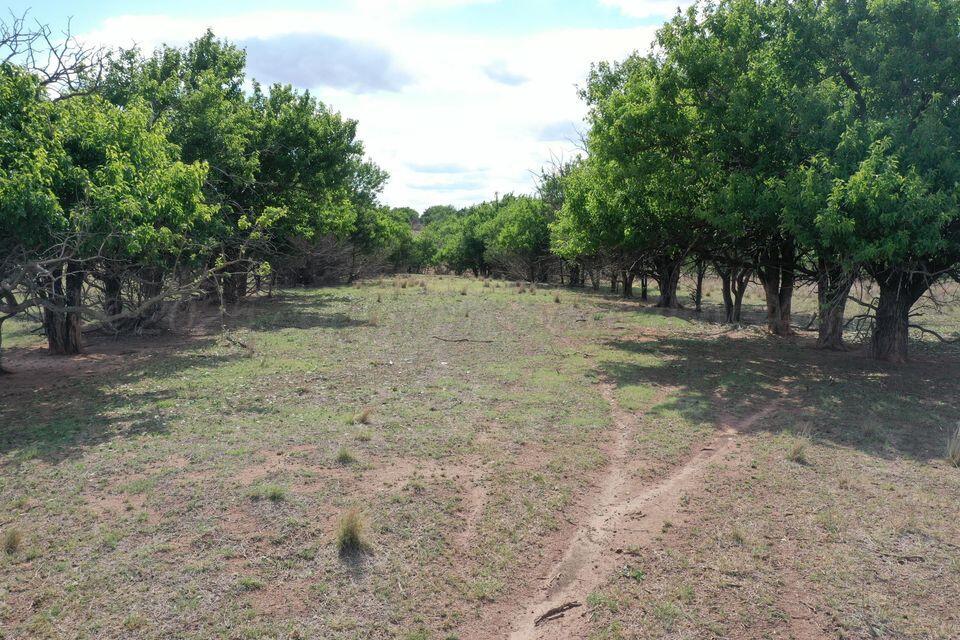 15200 Highway 152 Wheeler, TX 79096 - Photo 48 of 71 a view of dirt yard with a trees