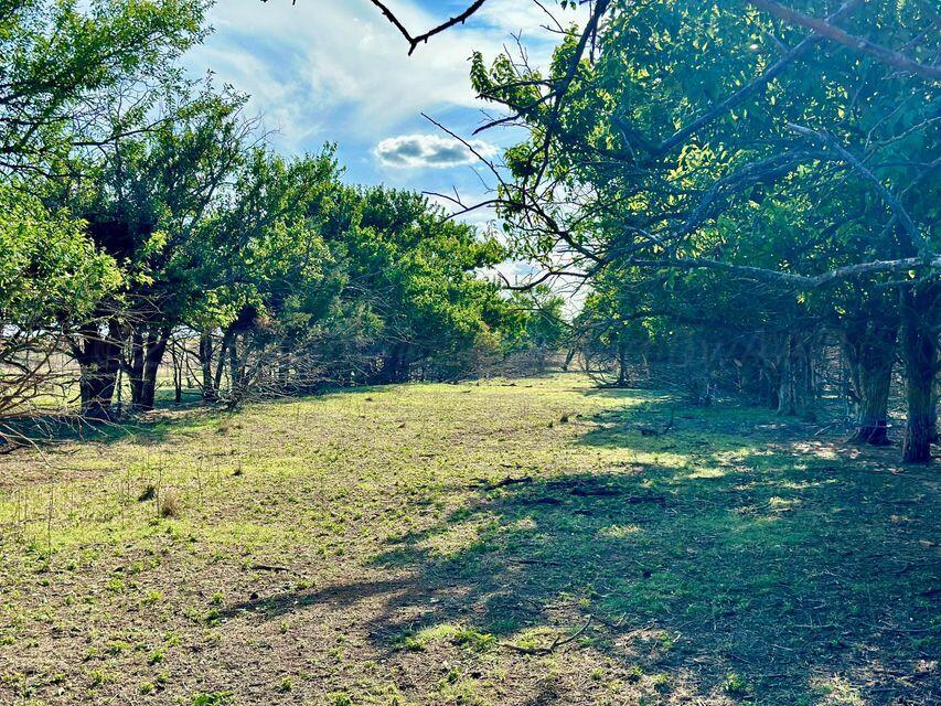 15200 Highway 152 Wheeler, TX 79096 - Photo 49 of 71 a view of a yard with trees