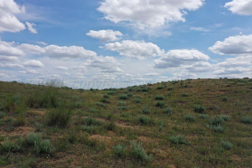 15200 Highway 152 Wheeler, TX 79096 - Photo 56 of 71 a view of a bunch of trees in a field